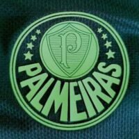 Grupo de Whatsapp Palmeiras Mundial