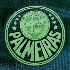 Grupo 🥅 Palmeiras Mundial ⚽