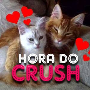 🥰 GRUPO HORA DO CRUSH 😘